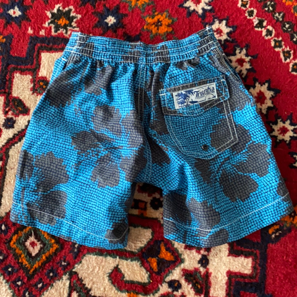 Trunks Brand Toddler Swim Shorts Size 3 Euc